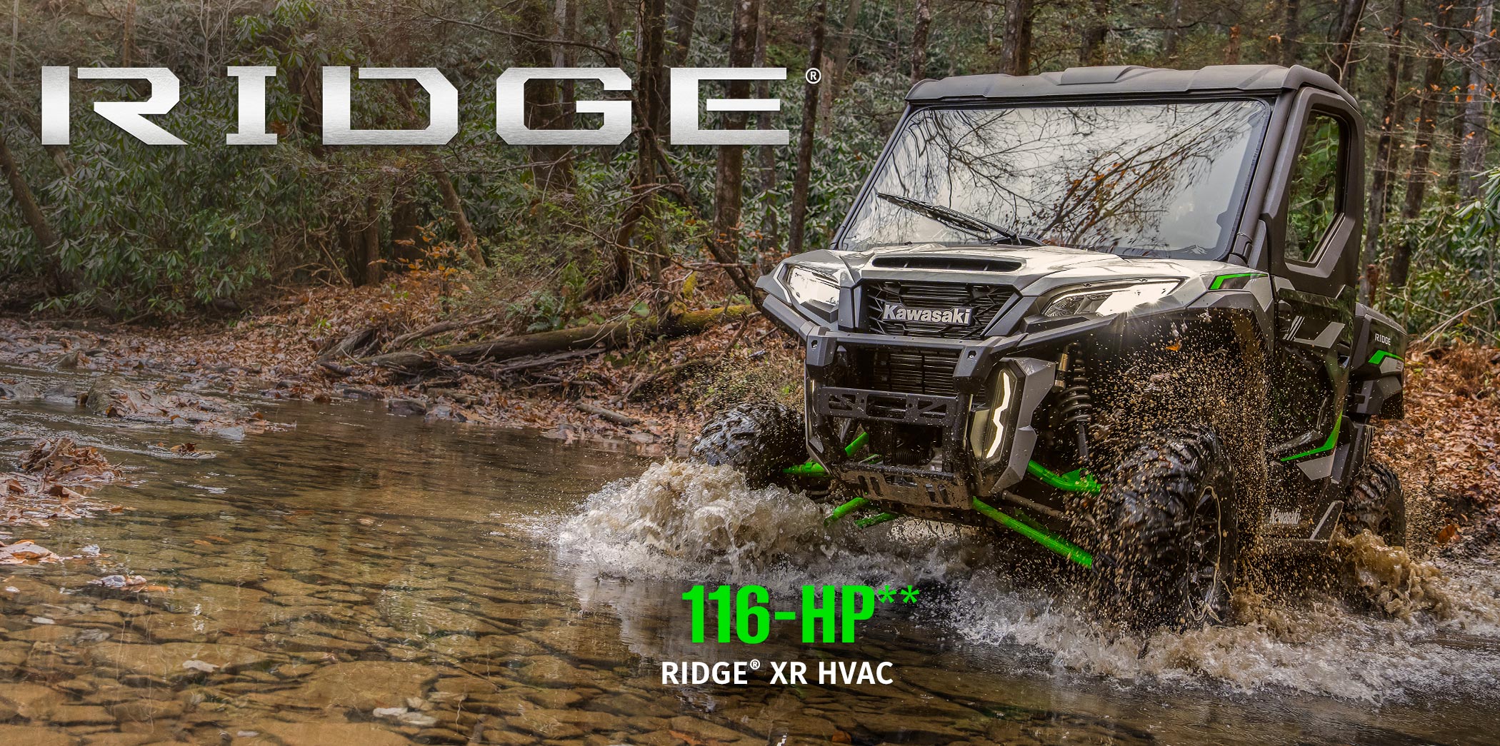 Ridge FAMILY:  Ridge Ridge XR  