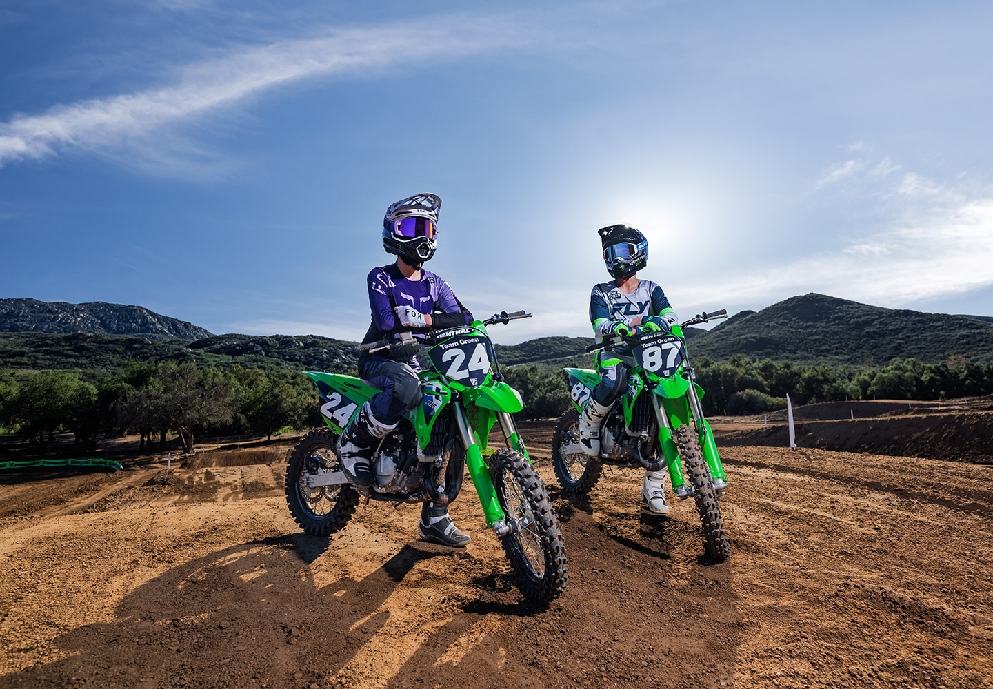 KAWASAKI TERYX: TERYX LE